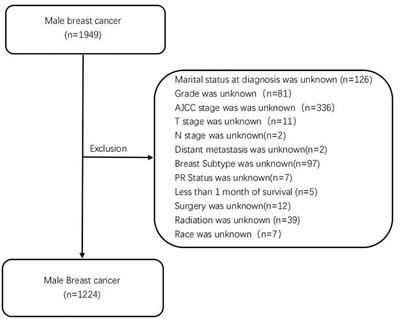 A nomogram for predicting the risk of male breast cancer for overall survival